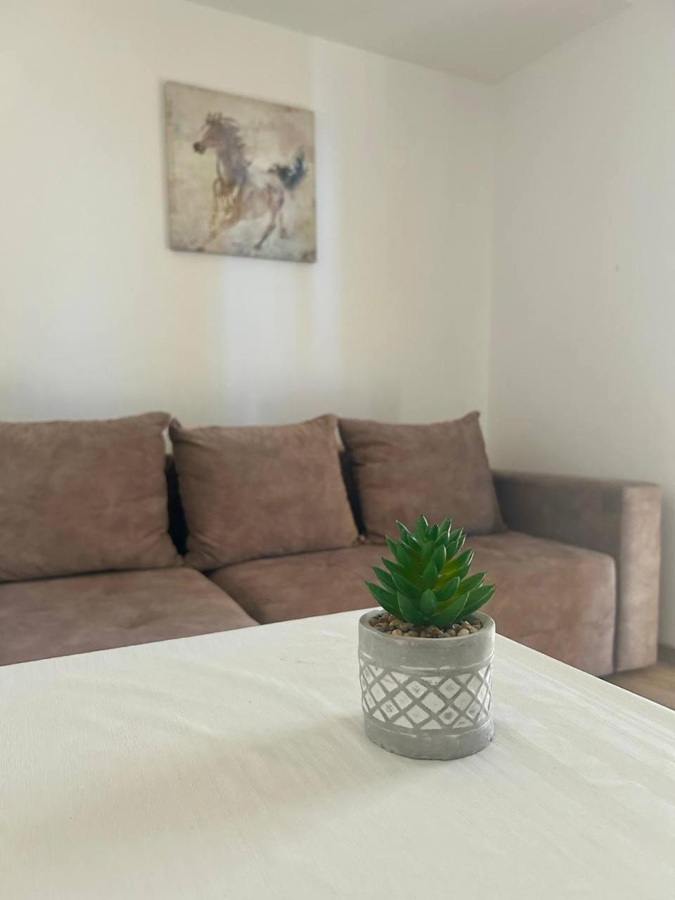Apartmani Stari Grad Sutomore Kültér fotó